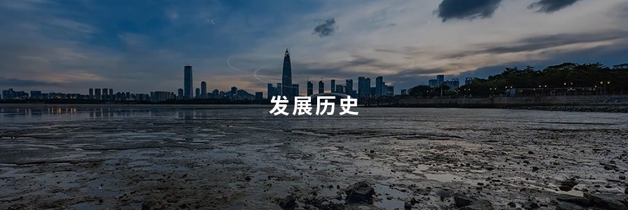 888真人集团材质